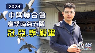 【Ａce pigeon】2023 Taiwan Zhong Xing club Spring South sea race 1st~4th Ace pigeon