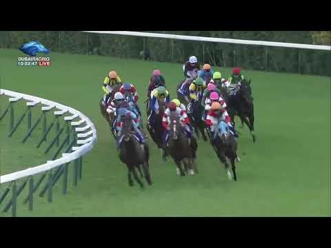 2017.11.19 Mile Championship (JPN) - Persian Knight