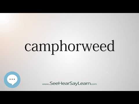 camphorweed (Every English Word Pronounced) 📕🔊🗣️😎✅