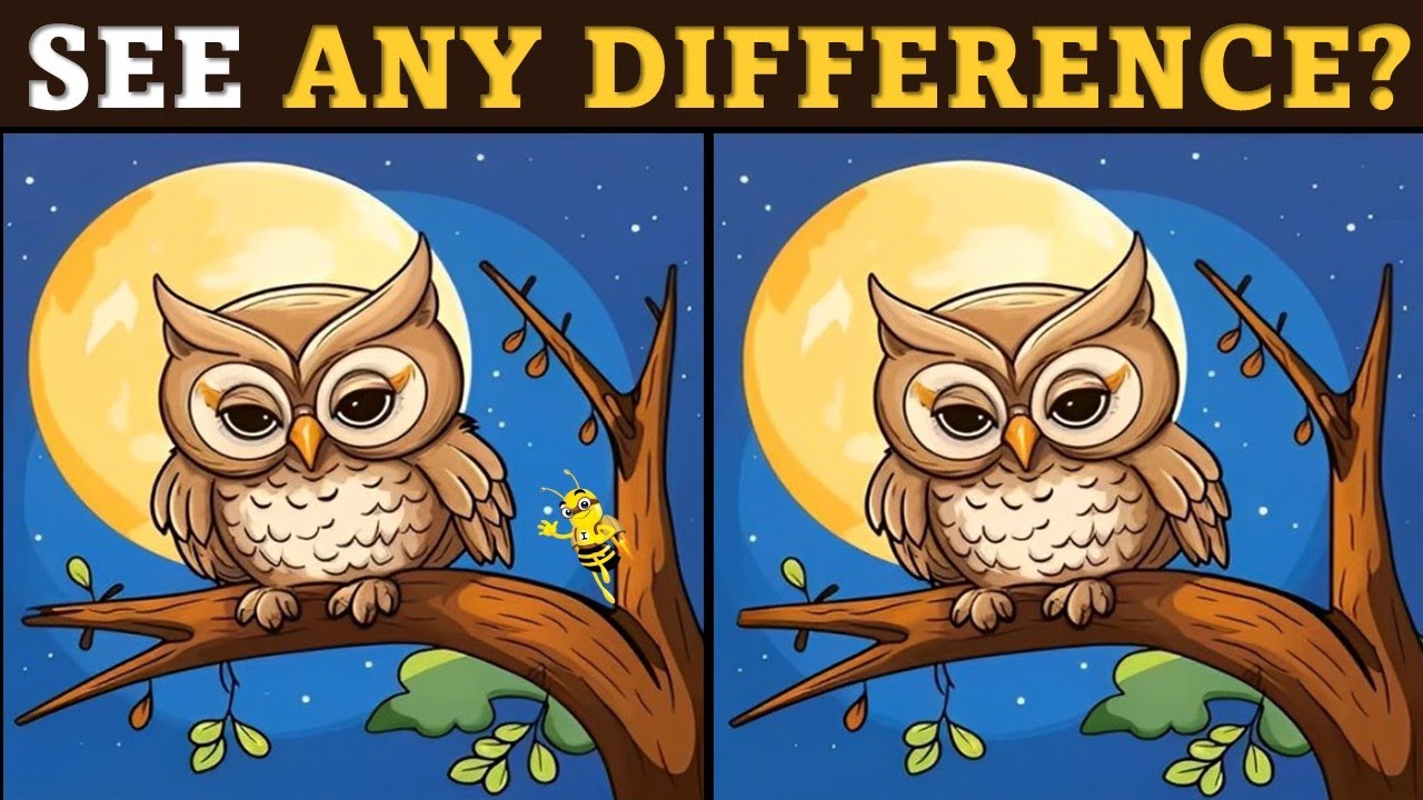Spot The 3 Differences in 30 Seconds || Genius Can Find Differences! [EASY] 🧩🧠💡
