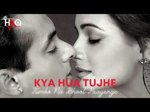 Kya Hua Tujhe | Tumko Na Bhool Paayenge | DJ Haq | Salman | Dia | Sushmita Sen | Bollywood Remix