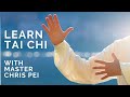 Tai Chi For Beginners Best Instructional Video For Learning Tai Chi
