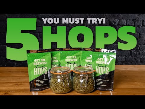 Yearn for hops ? Discover 5 Beautiful HOPS to brew with - Geterbrewed