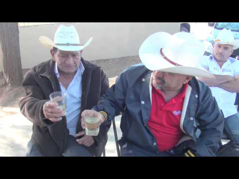 DUETO ARMADILLO  CANTA QUIERO SAVER QUIERO SAVER