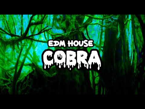 Dutty Deedz & Su Real - "Cobra" Ft General Zooz, Shah Rule & Kavin (Mr. Doss Remix)