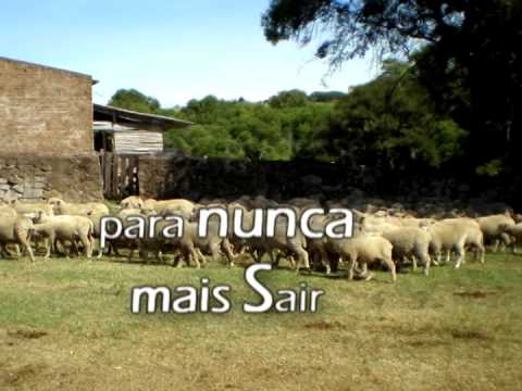 Ovelha errante (Regina Mota)