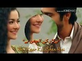 14 Feb Whatsapp Status Pyar Hai Tumse Magar Pyar Se Dar Lagta Hai Status Youtube