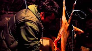 Who Killed Bambi.mpg