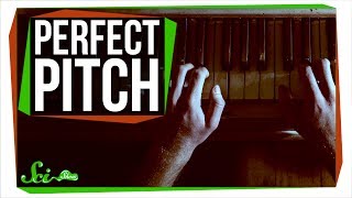 Can You Learn Perfect Pitch?