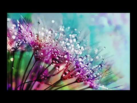 Progressive Rock Mix by CCR - Just 7 Tracks