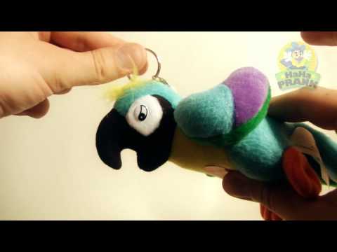 Squeezable Cursing Parrot (The REAL Angry Bird) - Presented by HaHaPrank.com