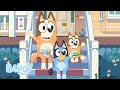 It's Bin Night! | Bluey