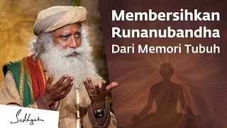 Download lagu Sadhguru tentang Memori Tubuh - Pembersihan Runanubandha | Sadhguru Bahasa Indonesia mp3