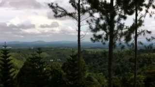 preview picture of video 'Mountain Pines Place Bukidnon Vacation'
