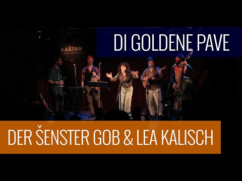 Der Šenster Gob & Lea Kalisch – Di Goldene Pave (LIVE)