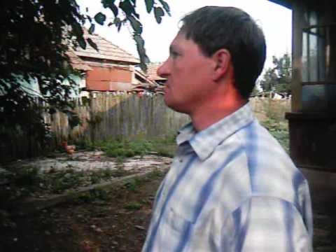 vizita la vulturesti