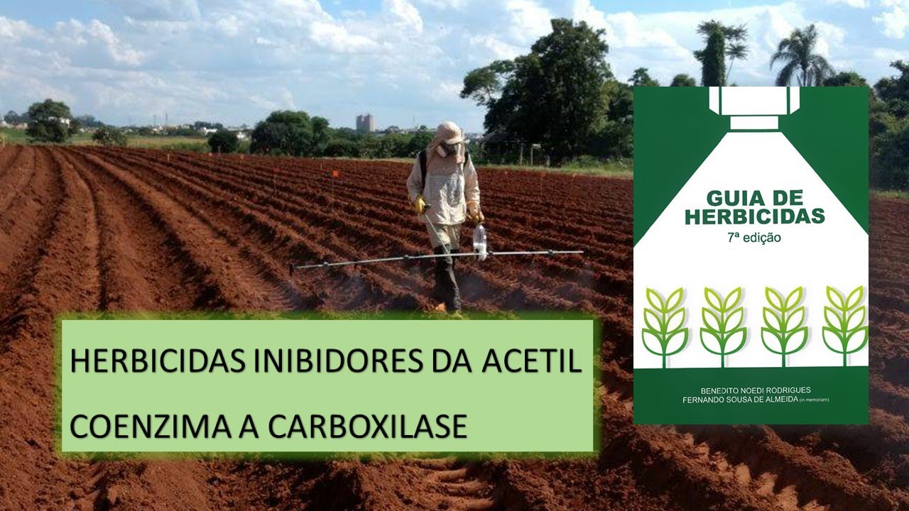 MECANISMO DE AÇÃO: ACCase