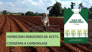 MECANISMO DE AÇÃO: ACCase