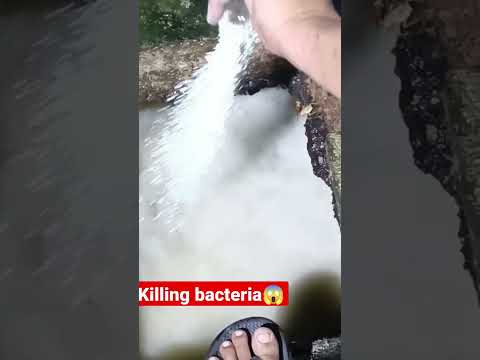 💩😱 easy way to kill bacteria inside septic tank 💪 #short #reels #septictank #viral #shorts