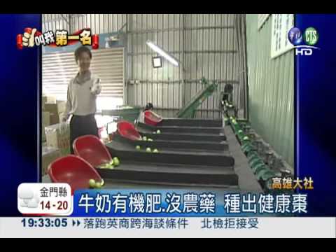 全國第一"珍寶棗" 甜脆1顆百元