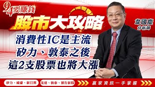 消費性IC是主流 矽力、敦泰之後 