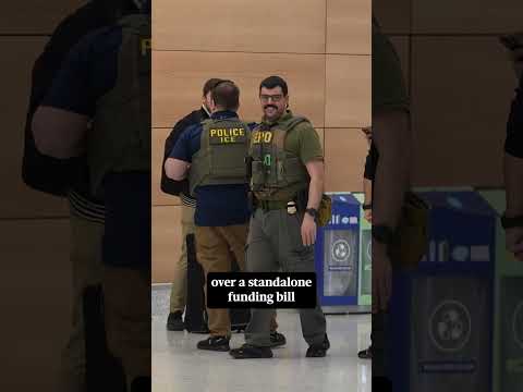 La Casa Blanca rechaza la oferta de Elon Musk de pagar al personal de la TSA durante el cierre parcial del gobierno