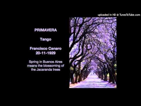 Today's Tango Is... Primavera - Francisco Canaro 20-11-1929