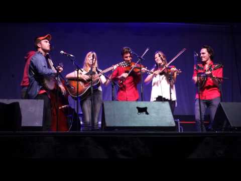 Clifftop 2017 - The Onlies - Going Across The Sea