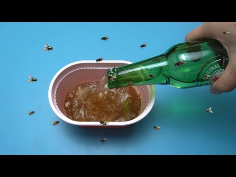 兩個土