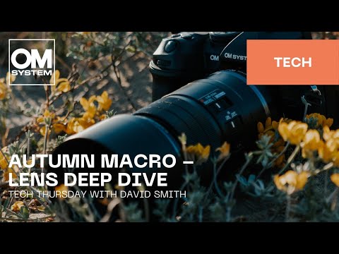 English | Tech Thursday with David Smith - Autumn Macro