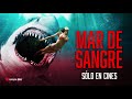 Mar De Sangre 8 De Diciembre Sólo En Cines