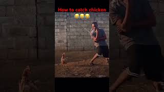 Download lagu Cara menangkap ayam | #prank #komedi #trending #lucu #shorts #afrika #ayam #hewan #hariini mp3
