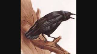 Salvation on Beacon Street