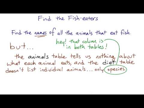 关系型数据库简介