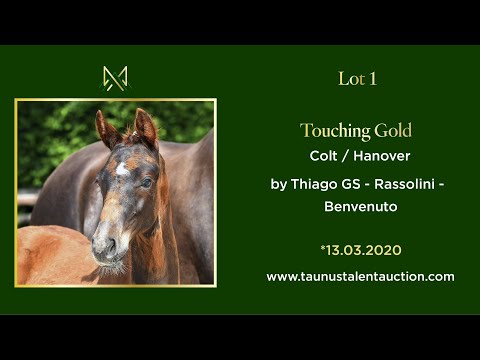 Lot 01 - Touching Gold