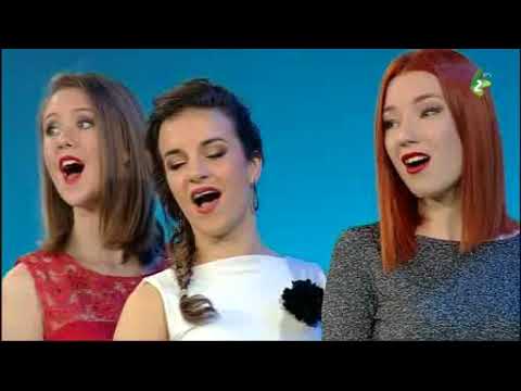 BUKET ŠPIVANKOH ZOZ "RUŽOVEJ ZAHRADKI 2017"