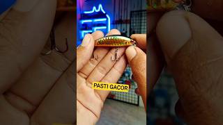 Download lagu Rekomendasi umpan minnow casting hampala gacor #fishing #casting #mancing #castinghampala #minnow mp3 Download lagu Rekomendasi umpan minnow casting hampala gacor #fishing #casting #mancing #castinghampala #minnow mp3