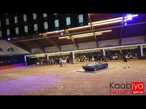 Naseem Al Rashediah .Straight Egyptian World Championship in Milano