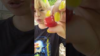 さくらんぼ狩り！紅佐藤食べてみた！#cherry