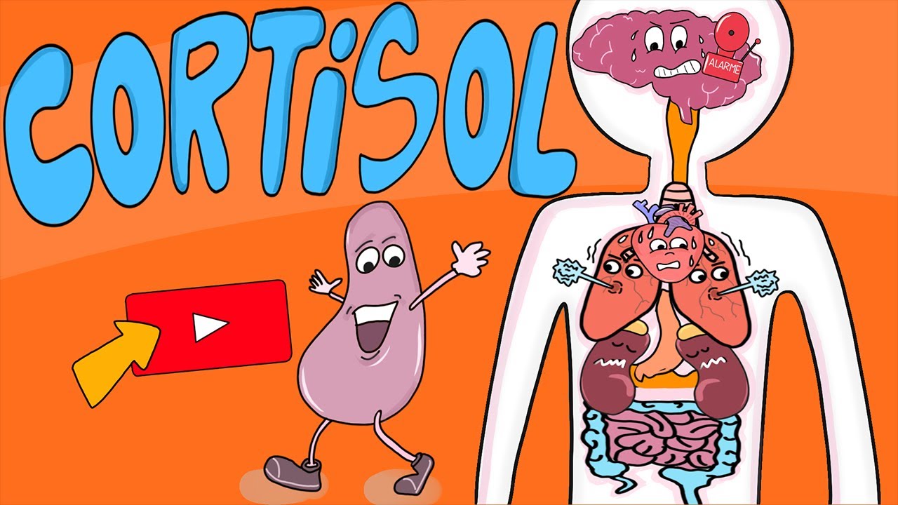 Cortisol: a hormona do stress?