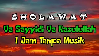 Download lagu Sholawat Ya Sayyidi Ya Rasulallah 1Jam Tanpa Musik mp3