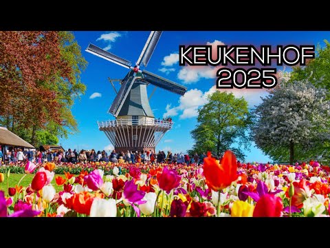 Keukenhof Gardens Aprile 2025 | Tulips Gardens | Niederlands