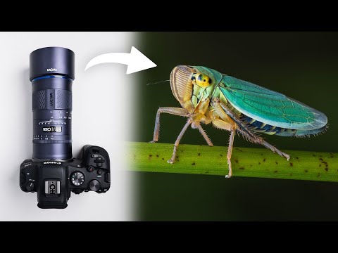 Video thumbnail for Venus Optics LAOWA 180 mm f/4.5 1.5x Ultra Macro APO review 2
