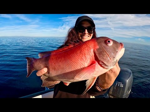 Fishing and Camping Catalina Island! Sheephead Catch, Clean and Cook
