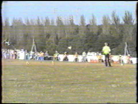 1990 MASTERS grasstrack  full meeting