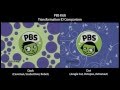 PBS Kids Transformation ID Comparison Dash Vs Dot