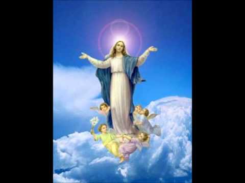 É Real - Comunidade Católica Shalom