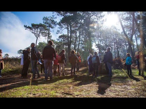 "Notre Pignada", votre consultation avec la Ville d'Anglet