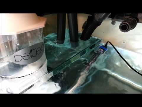 JayHoes Reef   Part 9