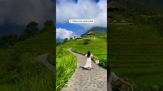 Best hotel in Sapa, Vietnam 🇻🇳 #shorts #travel #fyp